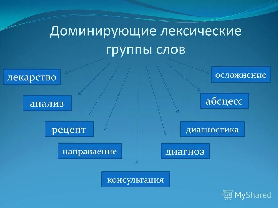 Лексические группы языка