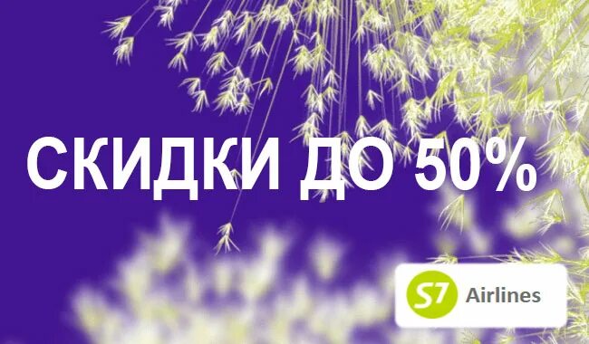 Скидки на билеты. S7 скидки на авиабилеты в марте. Купить билет со скидкой 50 процентов