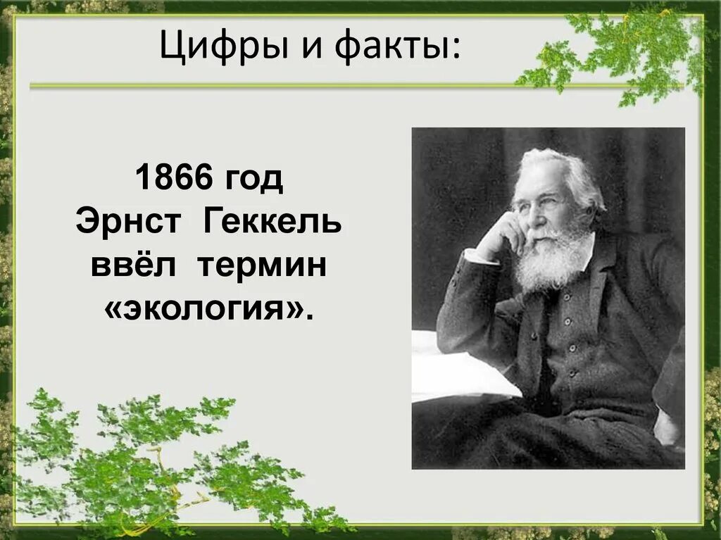 Биолог Эрнст Геккель. Эрнст Геккель в 1866 году. Э. Геккель термин «экология». Термин экология в 1866 году