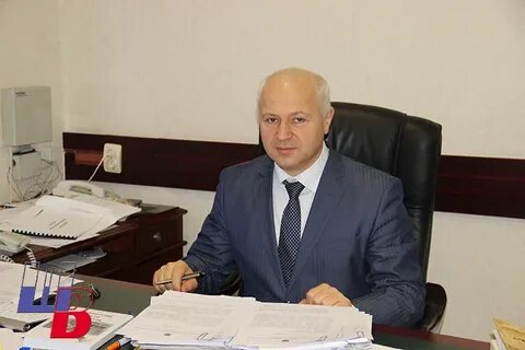 Гаджиев шаховская
