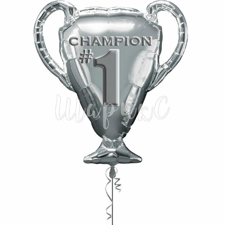 Серебряный чемпион. Golf cup trophy. Серебряный чемпион. Mcoc kabam birthday. Серебряный чемпион.