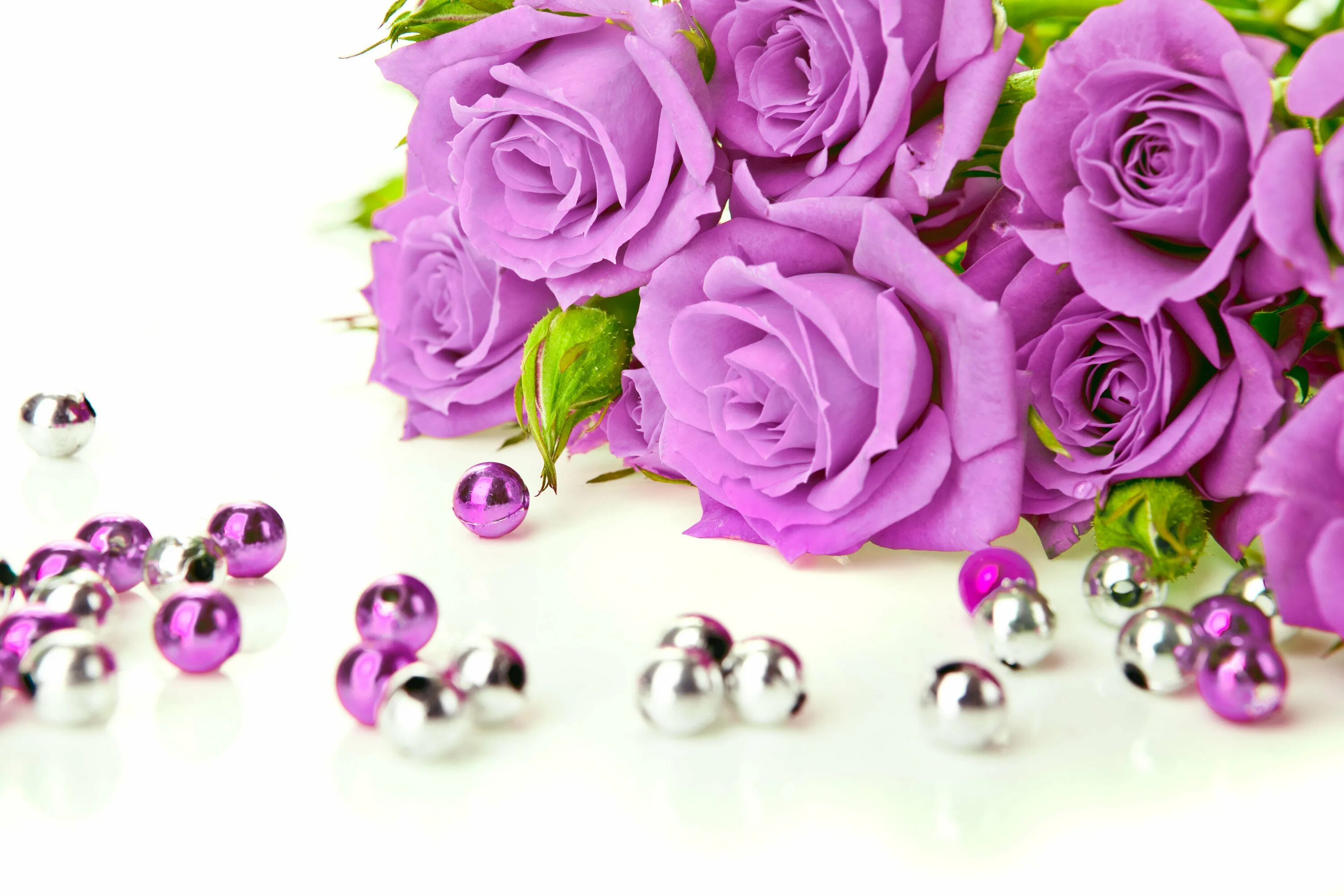 С днем рождения женщине новый телефон. Фиолетовые розы. Фиолетовые цветы. Цветы розы сиреневые.