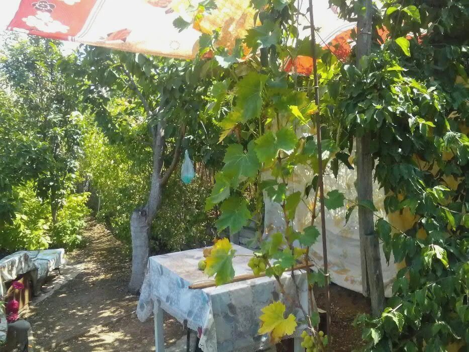 Снт горняк 2. Снт горняк 2 раменский район. Снт горняк 2. Снт горняк 2 участок. Снт горняк 2 сычево.