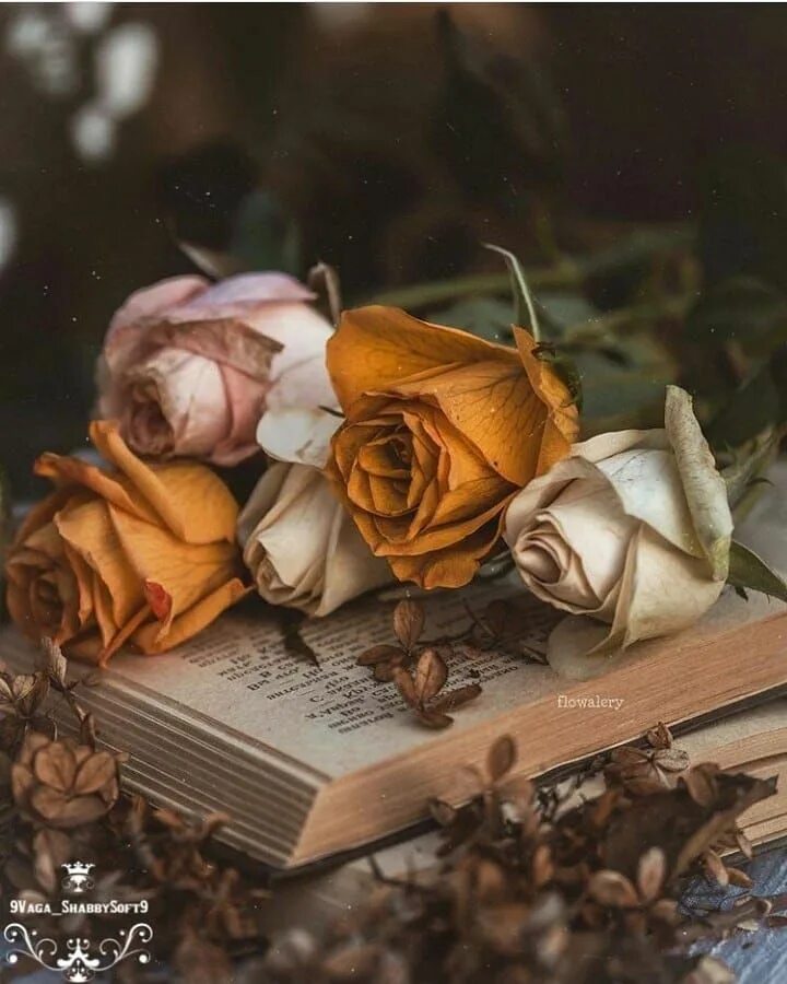 Последний осенний цветок книга. Книга цветы. книга с цветами. книга и осенние цветы.