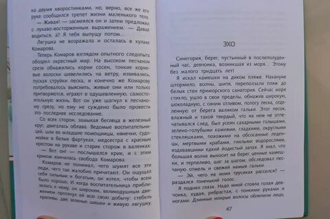 Сочинение егэ по тексту заброшенная дорога