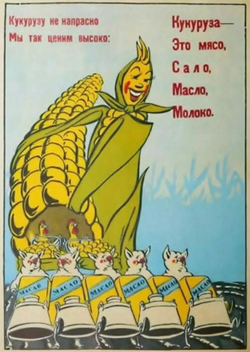 Шутки про баклажан. Кукурузина прикол. Кукуруза мем. Анекдот про кукурузу. Шутки про кукурузу.