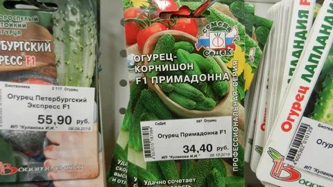 Огурец примадонна