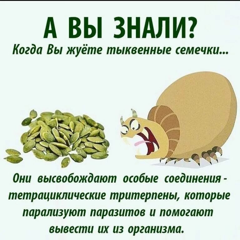 Можно ли давать семечки. Тыквенные семечки польза. польза тыквенных семечек. тыквенные семечки полезные. чем полезны тыквенные семечки.