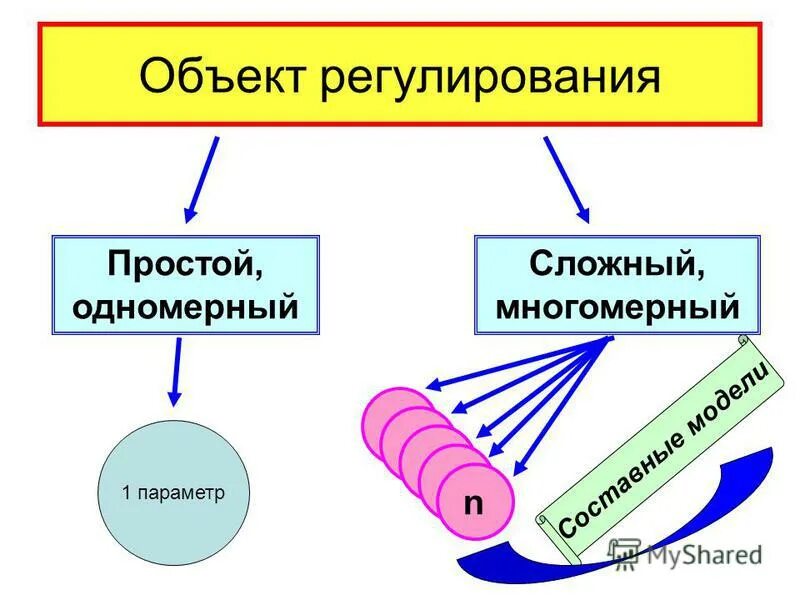 водно-солевой обмен в организме физиология. схема нейро-гуморальной регуляции. регуляция у простейших. регуляция простейших. регуляция простейших.