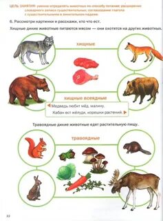 Развитие речи животные леса