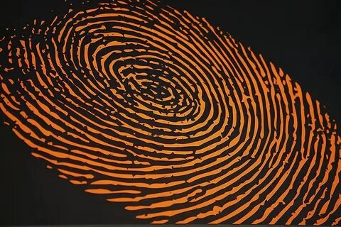 Fingerprints pro
