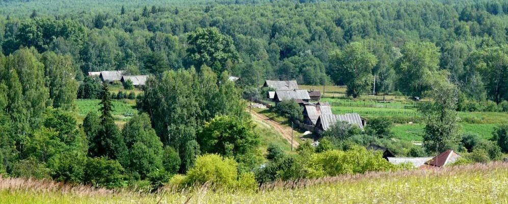 Погода савино пермский край. Деревня Савино Пермский край. Сарапулка Пермский край. Деревню Сарапулка Пермский край. Пермский край, дер.Савина,.