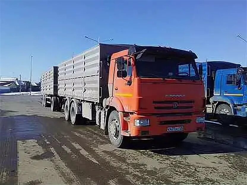 Зерновоз ставрополь. Полуприцеп зерновоз бонум. Камаз 65207 зерновоз с прицепом. Полуприцеп-зерновоз днестр 9357-01. Камаз 54112 зерновоз.