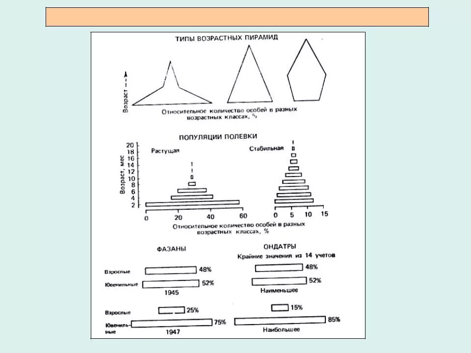 Возрастная пирамида растущей популяции. Возрастная структура популяции пирамида. Пирамиды возрастного состава популяции. Типы возрастных составов популяций.