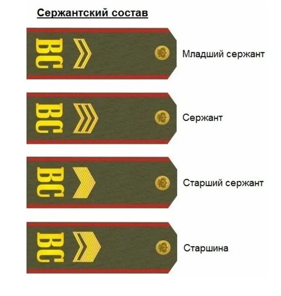 Сержант это офицер или нет. Погоны сержанта российской армии. старший сержант погоны в армии. погоны ефрейтора российской армии. младший сержант в армии погоны.