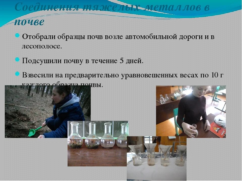 Определение тяжелых. Тяжелые металлы в почве. определение тяжелых металлов в почве. анализ содержания тяжелых металлов в почве. исследование на тяжелые металлы.