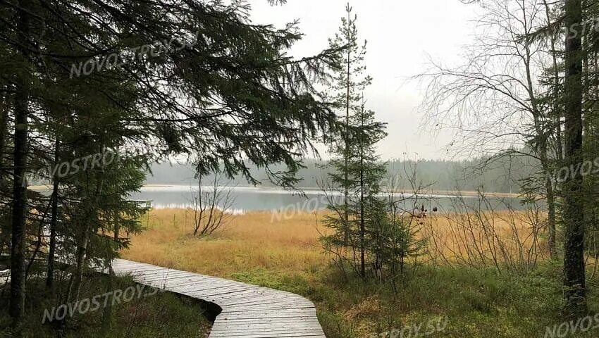 Лагерь зелёный огонёк ленинградская область лужский. Смолячково ленинградская область. Огоньки ленинградская область. Огоньков коттеджный поселок. Зелёный огонёк лагерь луга.