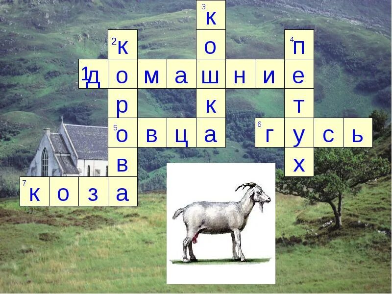 Лошадиная малометражка кроссворд. Кроссворд про животных. кроссворд домашние животные. кроссворд про домашних животных. кроссворд на тему домашние животные.
