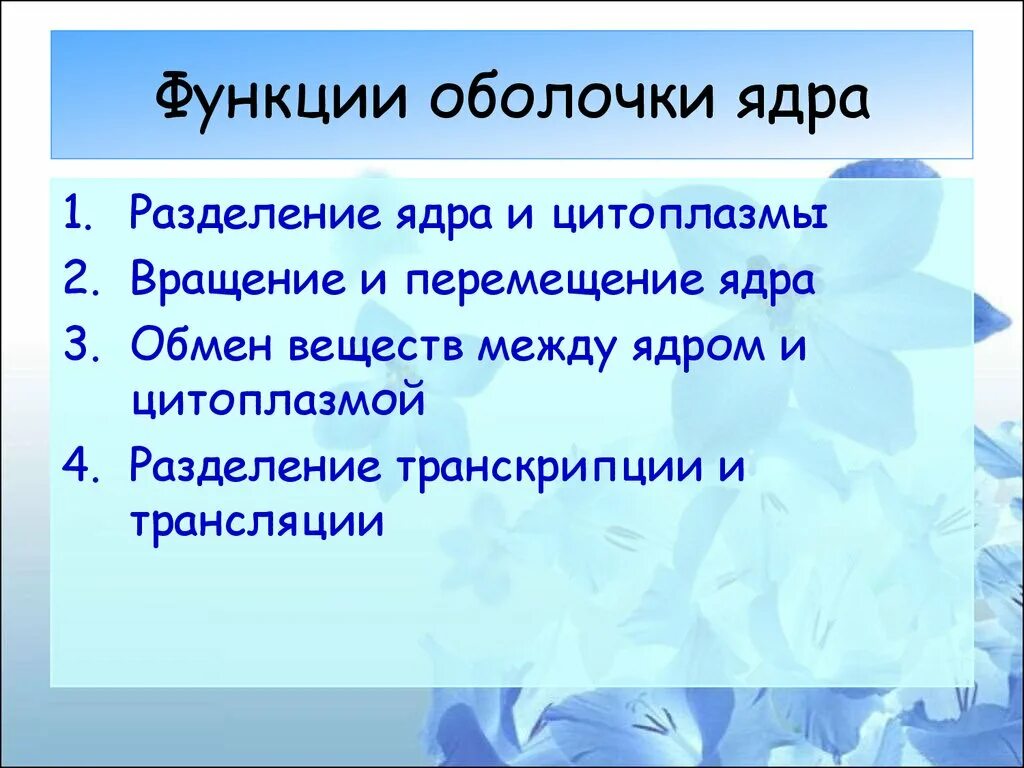 Особенности и функции оболочки. Функции оболочки ядра. Ядерная оболочка функции. Функции мембраны. Ядерная мембрана функции.