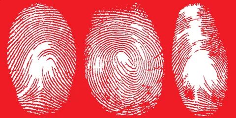 Fingerprint что это