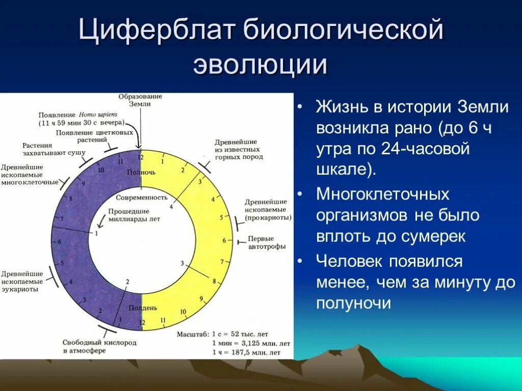 История земли на циферблате. История происхождения жизни на земле. История развития земли. Этапы возникновения и развития жизненной земле. Время жизни изучения