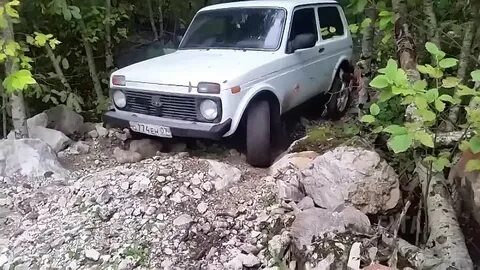 Песня про ниву