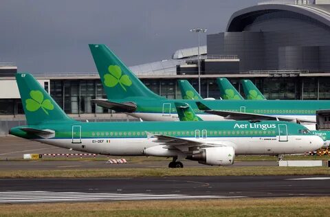 Ana lingus
