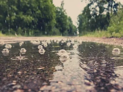 Почему на лужах пузыри во время дождя