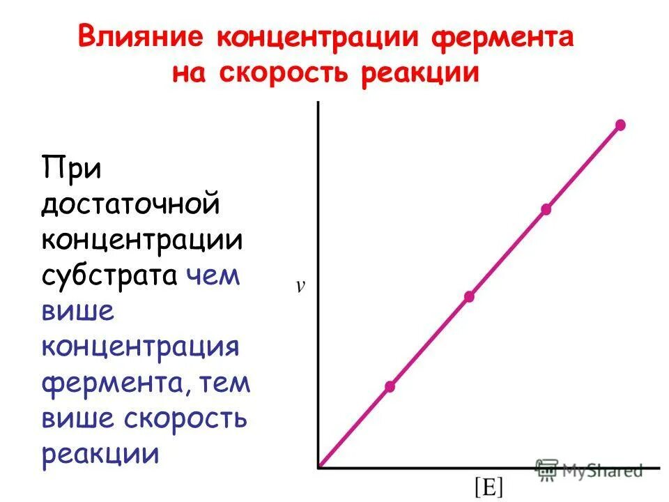 Зависимость ферментов от концентрации субстрата. Влияние концентрации субстрата на скорость реакции. Влияние концентрации фермента и субстрата. Концентрация субстрата. Влияние концентрации фермента на скорость реакции.