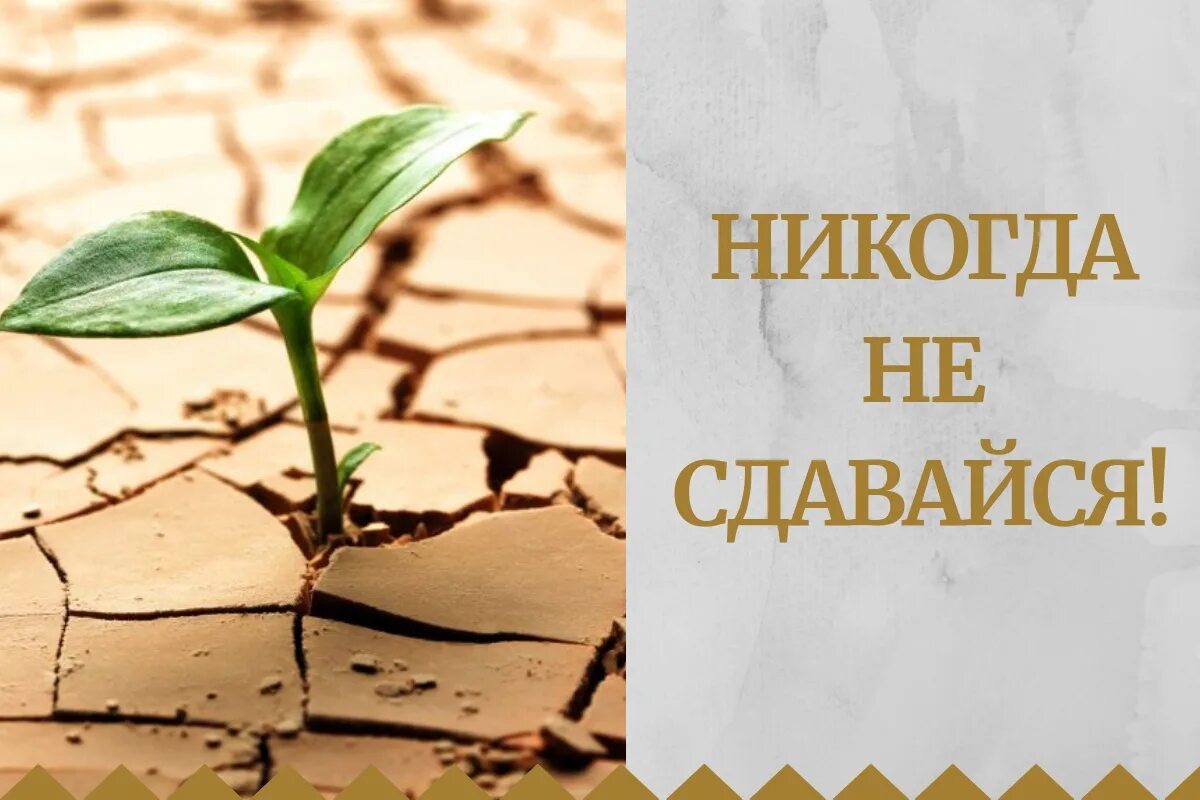Никогда не умолкающего. Никогда не сдавайся черчилль. никогда не сдавайся цитаты. никогда никогда никогда никогда не сдавайтесь. никогда никогда не сдавайся цитата.