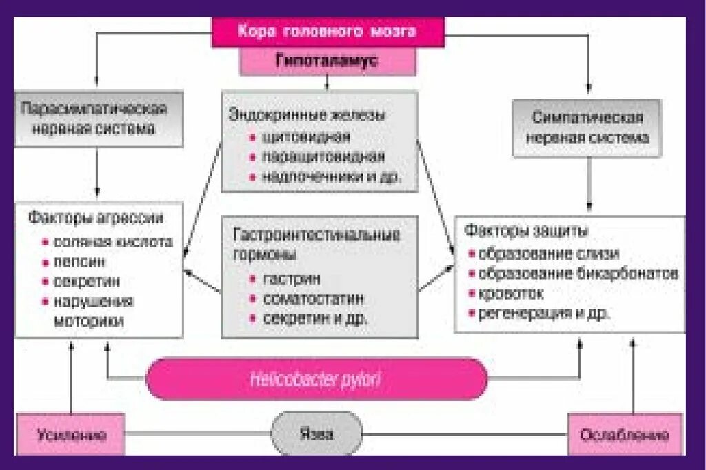 ЯБЖ лечение схема. Схема лечения язвенной болезни желудка. Схемы лечения язвенной болезни желудка и двенадцатиперстной кишки. Схема лечения язвенной болезни желудка схема. Схема лечение язва двенадцатиперстной