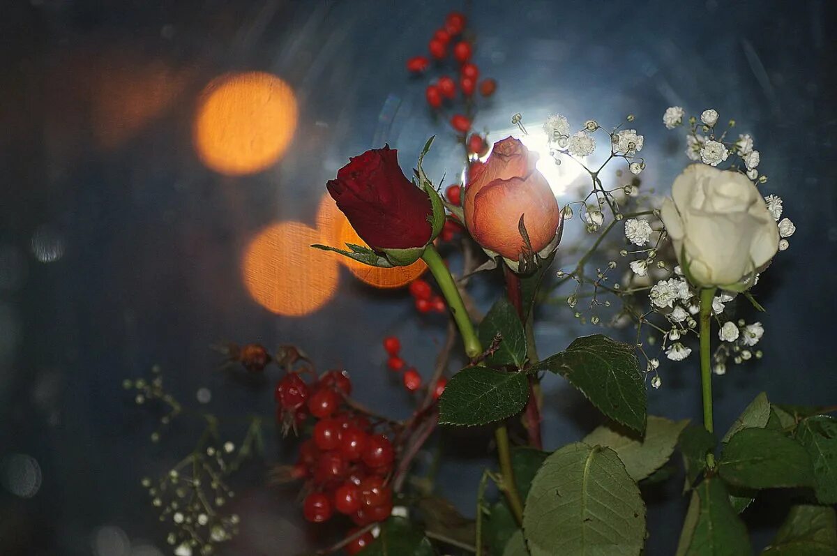 Доброго вечера красивые розы. Цветы ночью. Добрый вечер цветы. Красивые ночные цветы. Вечерние цветы.