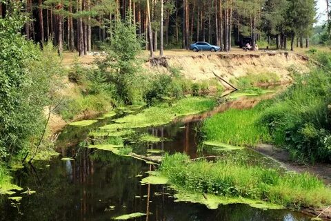 Каркино кирово чепецк