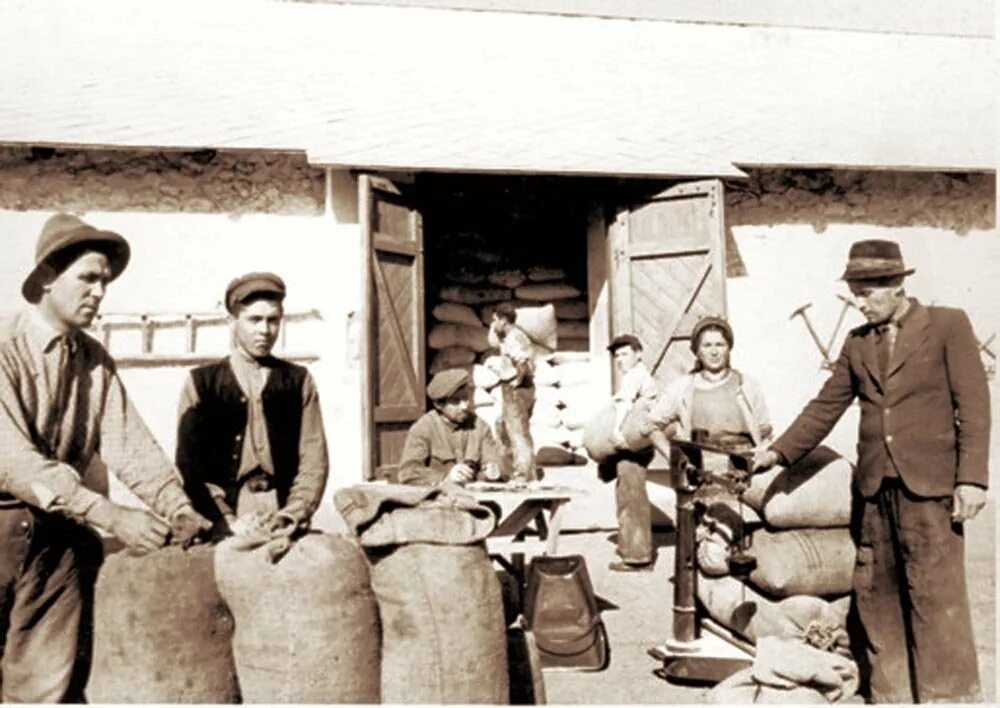 Плакат сталин и засуху победим. Засуха 1946 год. Засуха 1946 год. Засуха 1946 год. Плакат сталин и засуху победим.