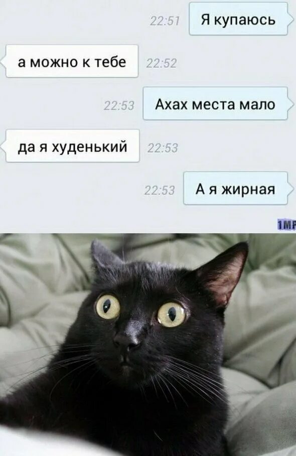 Ахах мем. Про ахах. Хахаха прикол. Про ахах. Ахахаха смех.