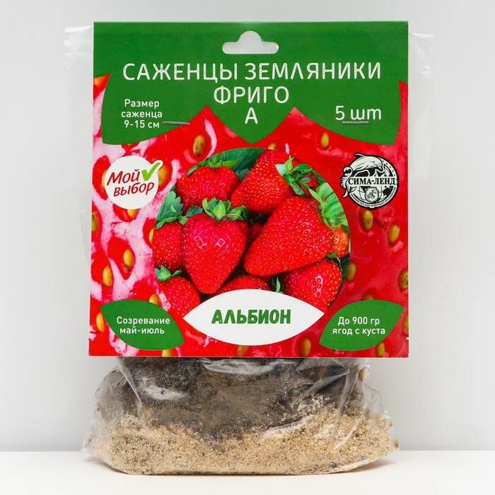 Клубника клери киргизия. Саженец клубники интернет магазин. Сортовая клубника саженцы. Саженцы земляники. Земляника садовая скала.