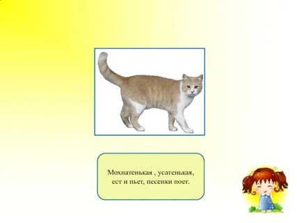 Маленький усатенький мохнатенький со спинкой полосатенький