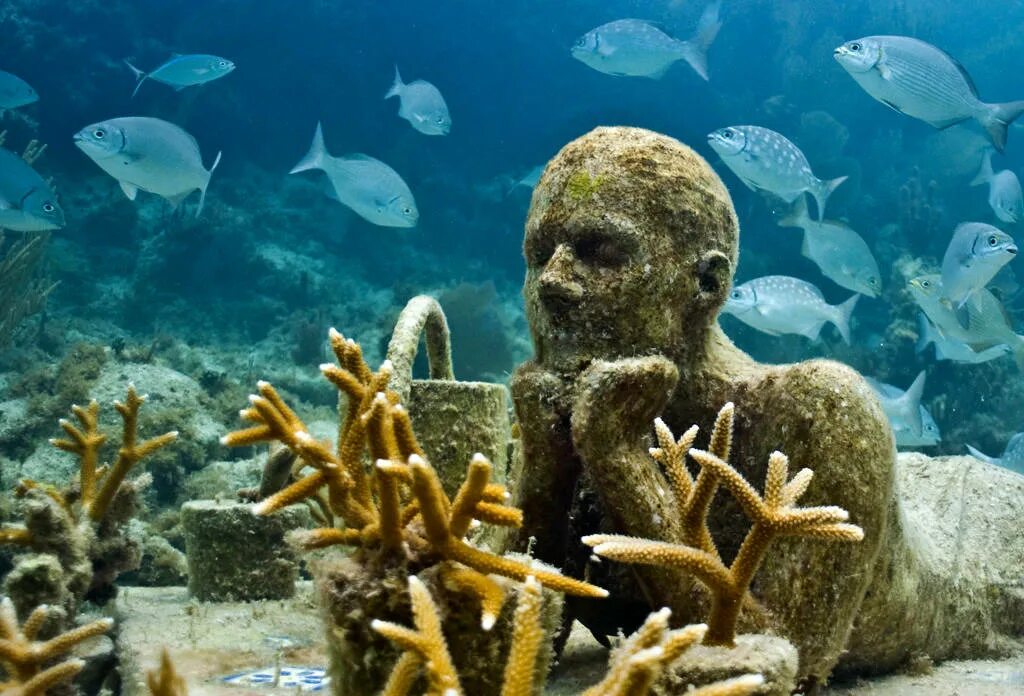 Группа морских организмов на дне океана. Обитатели морского дна. Жители морского дна. Карибское море обитатели. Подводный мир Мексики.