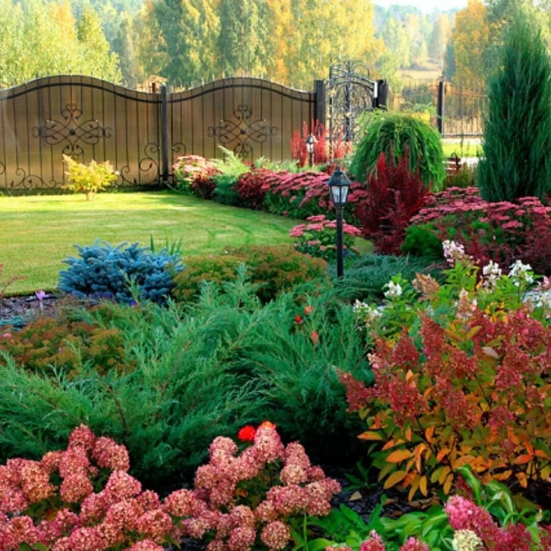 Кустарник клумба