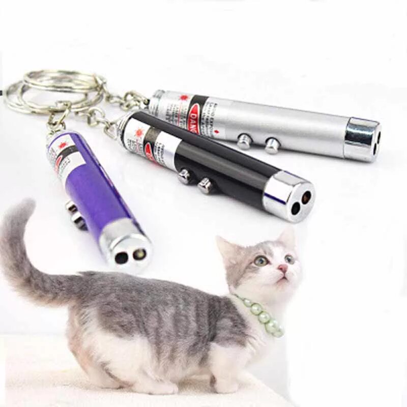 лазерная указка для кошек. можно ли коту лазерную указку. лазерная указка cat toys cj00408. Cat toys лазерная указка красная. лазер для кошек.