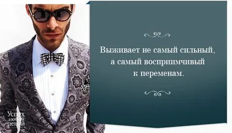 Успех любою ценою