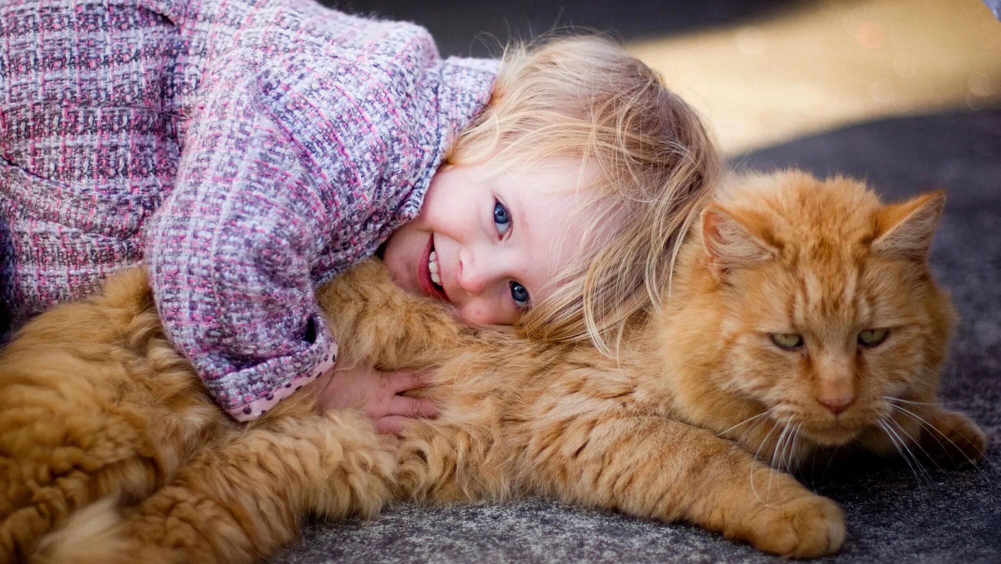 Кот не любит детей. Для детей. Животные. Котёнок-ребёнок. Кошка для детей. Дети с животными.