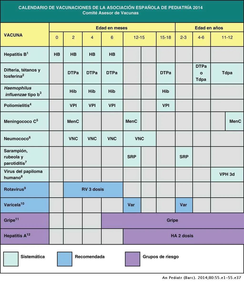 Календарь прививок для детей в россии 2024. Календарь прививок США. Календарь прививок Испания. Национальный календарь прививок для детей. Ветрянка календарь прививок.
