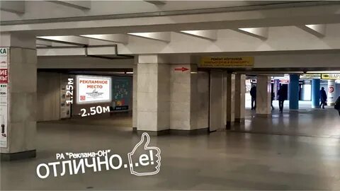 Эрси на партизанской