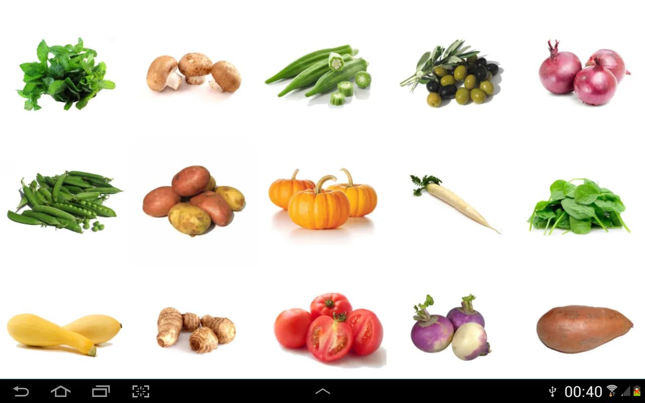 Vegetables in English PNG. Name of Vegetables writing. Learning vegetables