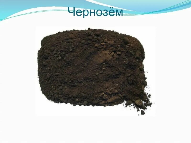 Горючие полезные ископаемые торф. Торф полезное ископаемое. полезные ископаемые торф. торф камень. торф для детей.
