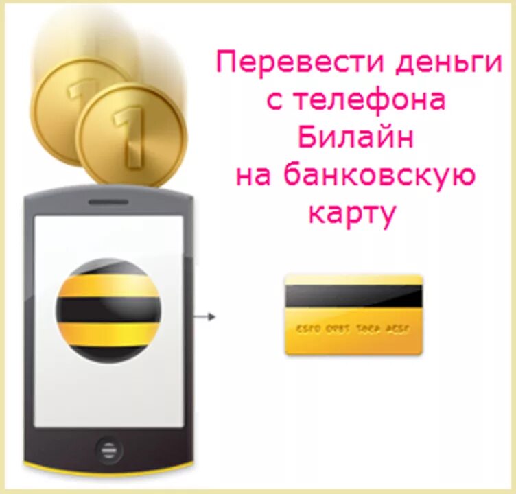 Как можно перевести билайна билайн. Деньги с Билайна на карту. Перевести деньги с Билайна на Билайн. Билайн деньги с телефона на карту. Перевести деньги с Билайна на карту.
