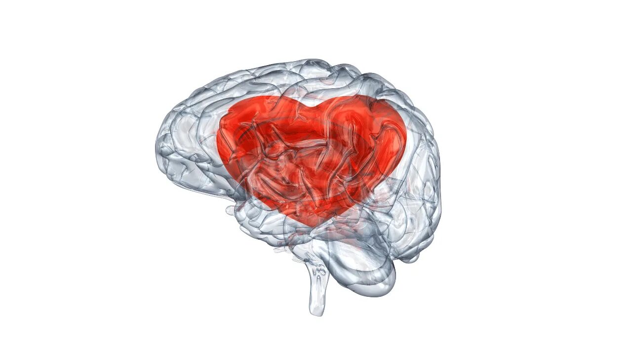 Heart and brain. Мозг и сердце. Мозг и сердце картина. Мозг кует сердце. Плакат мозг сердце.