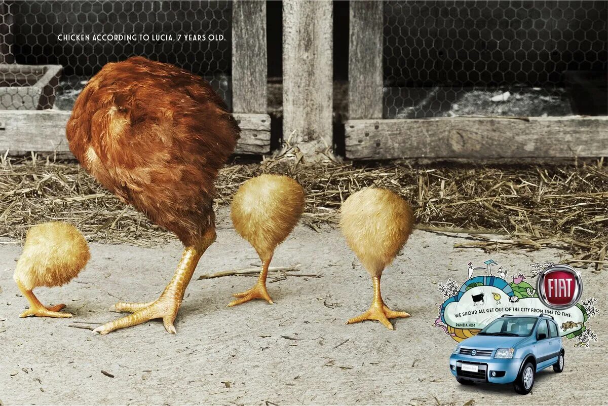 Реклама курочки. Креативная реклама курицы. Креативная курица. Реклама курицы.