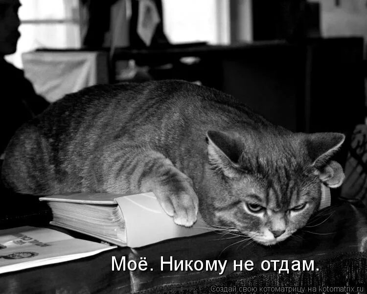Некому отдать